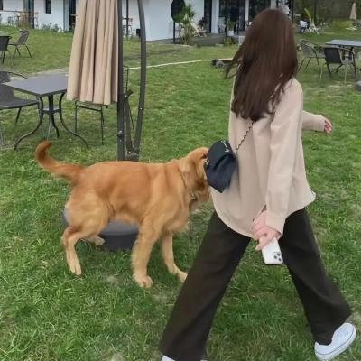 南瓜恶灵4：血债